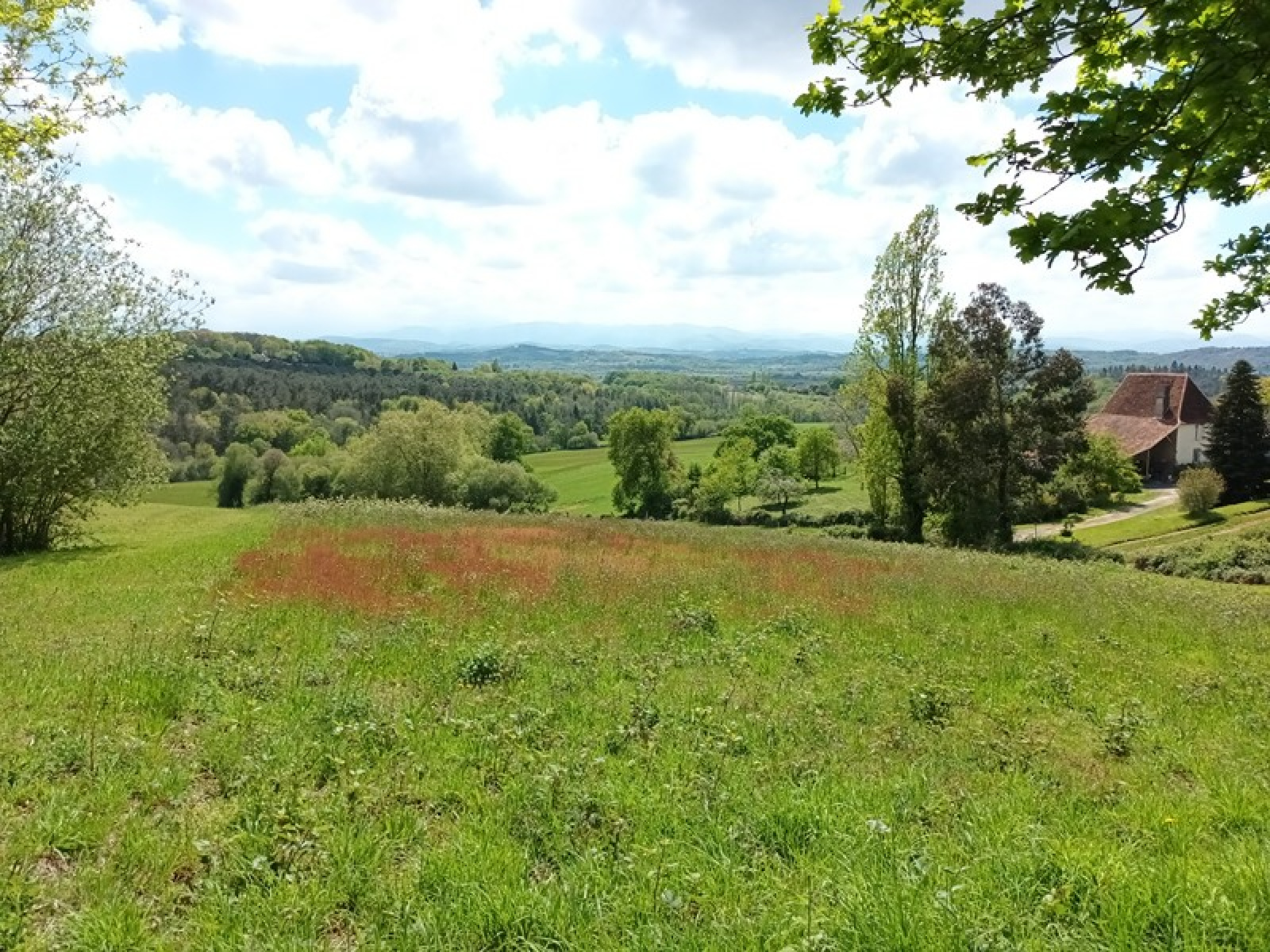 Image_2, Terrain, Burgaronne, ref :1986