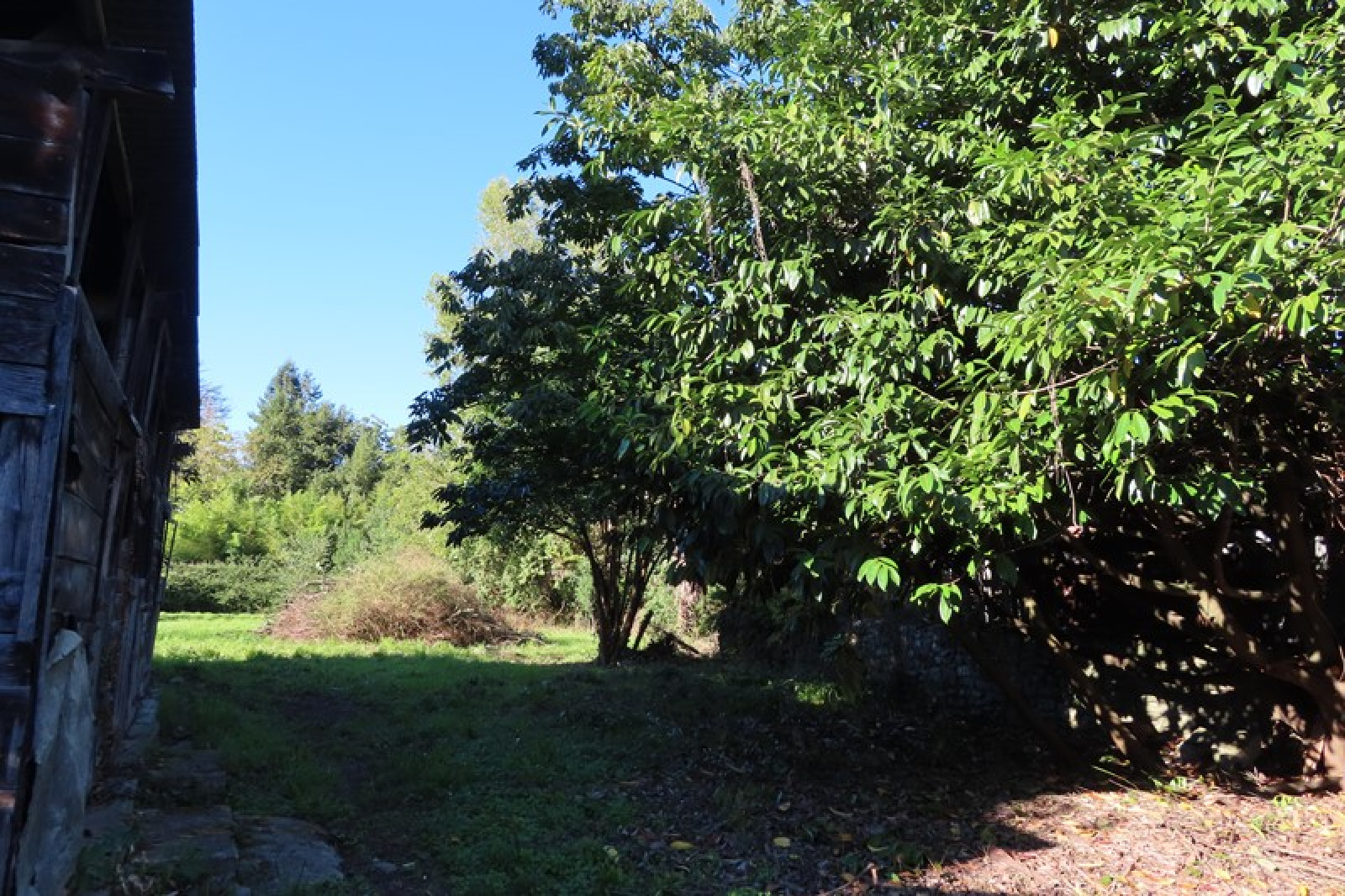 Image_13, Terrain, Autevielle-Saint-Martin-Bideren, ref :1904