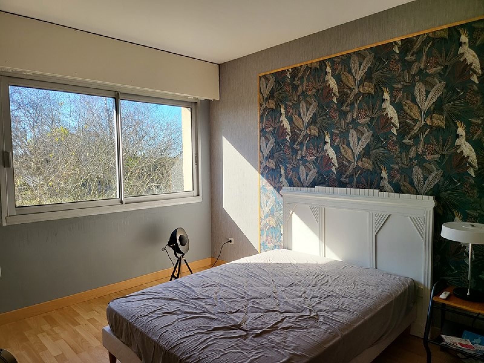 Image_13, Maison, Orthez, ref :1984